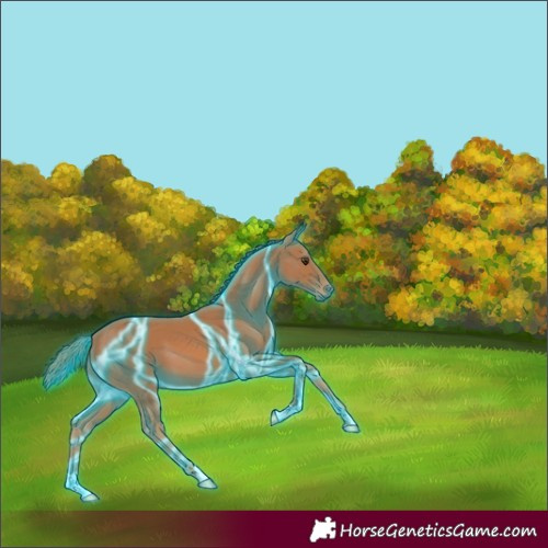 Horse Color:Thunderstruck Chestnut 