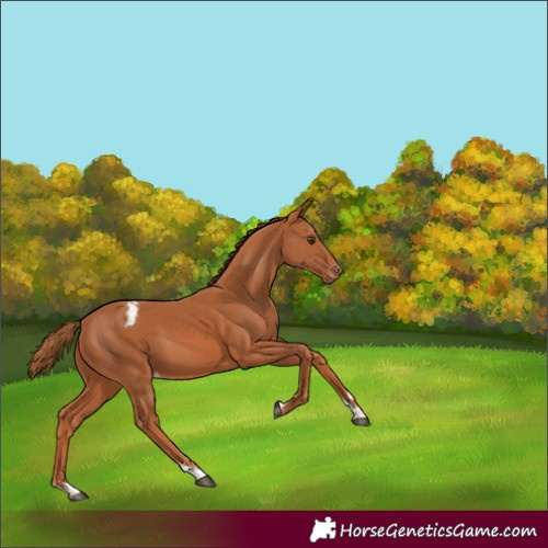 Horse Color:Chestnut Tobiano Varnish 