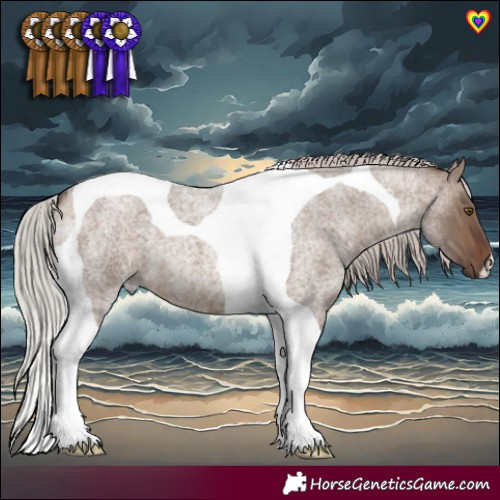 Horse Color:Silver Brown Roan Dun Tobiano 