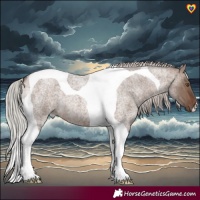 Horse Color:Silver Brown Roan Dun Tobiano