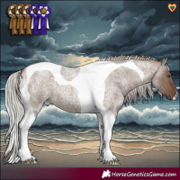 Horse Color:Silver Brown Roan Dun Tobiano