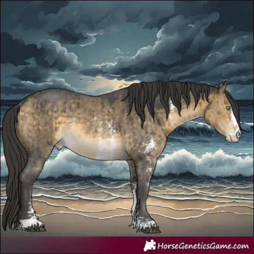 Horse Color:Buckskin Dun Sabino Varnish Rabicano Brindle 