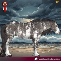 Horse Color:Smoky Grullo Sabino Snowflake Varnish Rabicano Brindle 