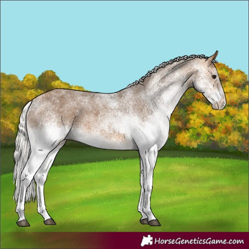 Horse Color:White Spotted Silver Buckskin