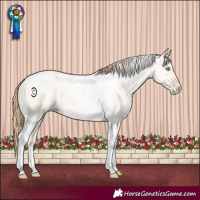 Horse Color:Sable Cream Champagne Pearl Dun Tobiano Rabicano 