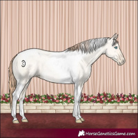 Horse Color:Sable Cream Champagne Pearl Dun Tobiano Rabicano