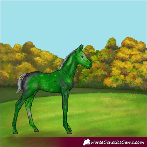 Horse Color:ERROR: UNKNOWN ANOMALY