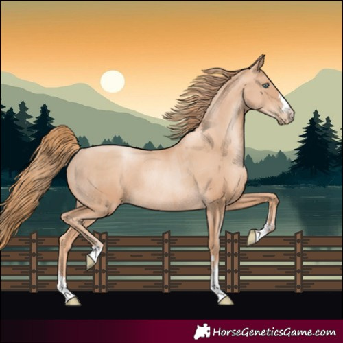 Horse Color:Gold Champagne Pearl Rabicano and Gold Champagne Pearl Rabicano