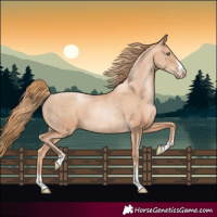Horse Color:Gold Champagne Pearl Rabicano  and Gold Champagne Pearl Rabicano 