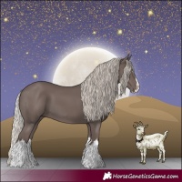 Horse Color:Silver Black Splash 