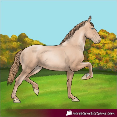 Horse Color:Gold Champagne Pearl Rabicano  and Gold Champagne Pearl Rabicano 