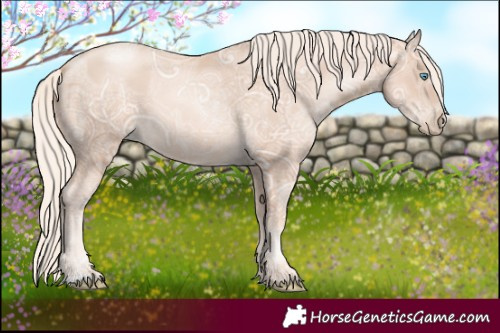 Horse Color:Gold Cream Champagne Ice Pearl 