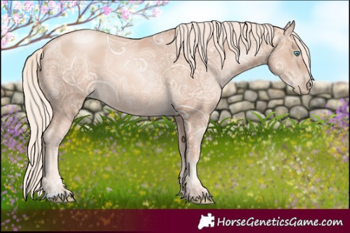Horse Color:Gold Cream Champagne Ice Pearl