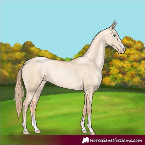 Horse Color:Gold Champagne Pearl Dun Rabicano and Gold Champagne Pearl Dun Rabicano
