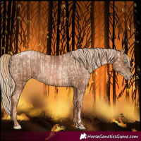 Horse Color:Gold Champagne Pearl Rabicano  and Liver Chestnut Pearl Rabicano 