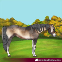 Horse Color:Bay Onyx Merle Rabicano