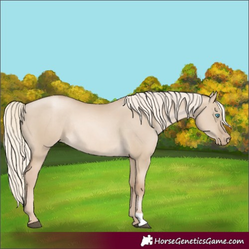 Horse Color:Chocolate Palomino Pearl Dun Rabicano