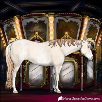 Horse Color:White Spotted Buckskin Pearl Dun