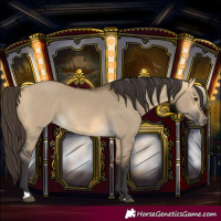 Horse Color:Buckskin Dun 