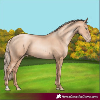 Horse Color:Gold Champagne Pearl Rabicano  and Gold Champagne Pearl Rabicano 