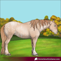 Horse Color:Sable Champagne Pearl Tobiano Blanket Rabicano  and Gold Champagne Pearl Rabicano 