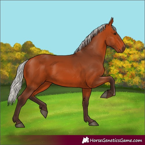 Horse Color:Silver Bay