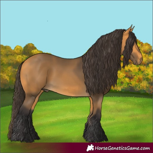 Horse Color:Buckskin 