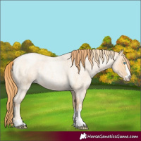 Horse Color:Buckskin Roan Pearl  and Buckskin Roan Pearl 