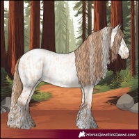 Horse Color:Gold Champagne Pearl Dun Rabicano  and Gold Champagne Pearl Dun Near Leopard Rabicano 