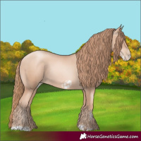 Horse Color:Gold Champagne Pearl Frame Rabicano and Gold Champagne Pearl Frame Rabicano