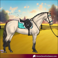 Horse Color:Buckskin Dun 