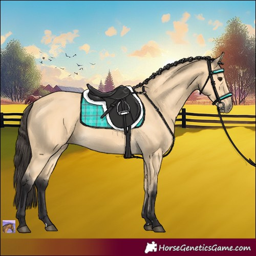 Horse Color:Buckskin