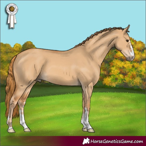 Horse Color:Red Dun 