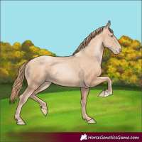 Horse Color:Gold Champagne Pearl Rabicano  and Gold Champagne Pearl Rabicano 