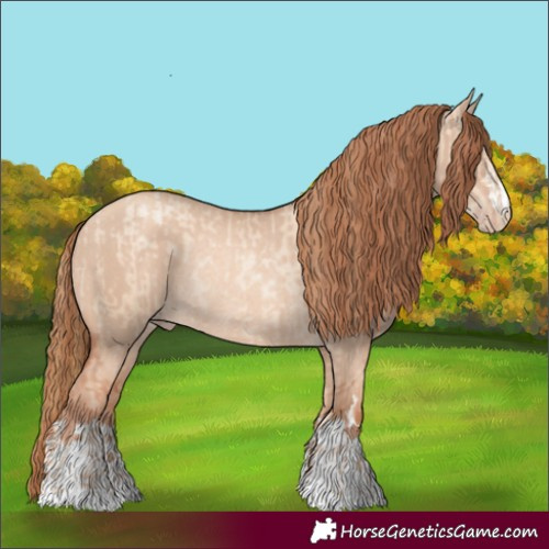 Horse Color:Gold Champagne Pearl Dun Rabicano  and Gold Champagne Dun Rabicano 