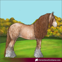 Horse Color:Gold Champagne Pearl Rabicano  and Gray Gold Champagne Pearl Rabicano 