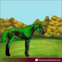 Horse Color:ERROR: UNKNOWN ANOMALY