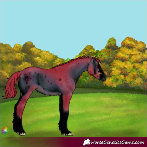 Horse Color:ERROR: UNKNOWN ANOMALY