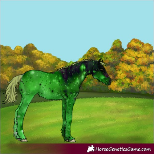 Horse Color:ERROR: UNKNOWN ANOMALY