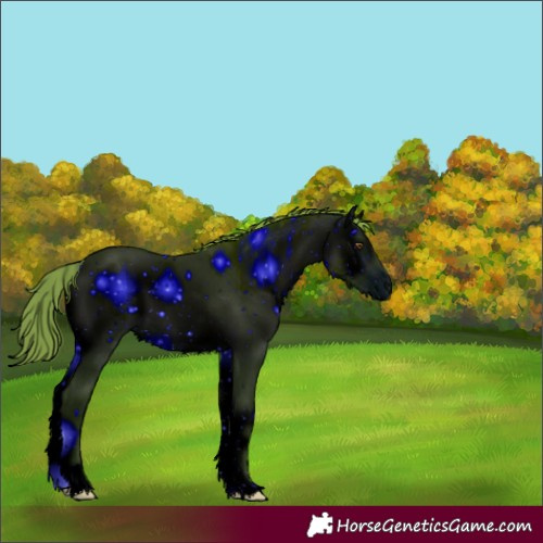 Horse Color:ERROR: UNKNOWN ANOMALY