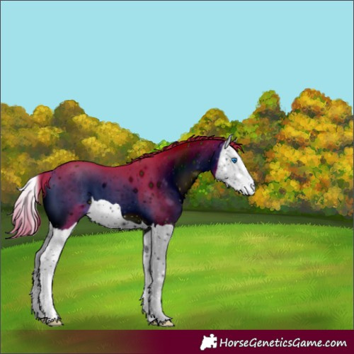 Horse Color:ERROR: UNKNOWN ANOMALY