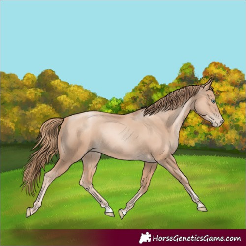 Horse Color:Gold Champagne Pearl Rabicano  and Gold Champagne Pearl Rabicano 