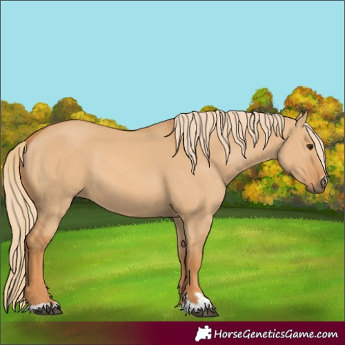 Horse Color:Red Dun