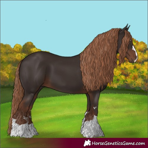 Horse Color:Liver Chestnut