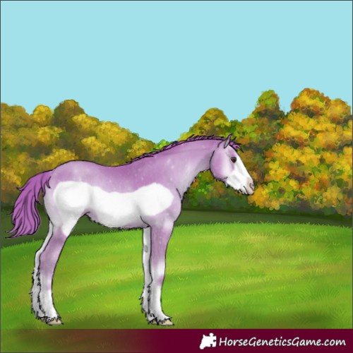 Horse Color:Watercolor Gold Champagne Onyx Frame Rabicano 
