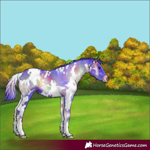 Horse Color:Nacre Watercolor White Spotted Liver Red Onyx