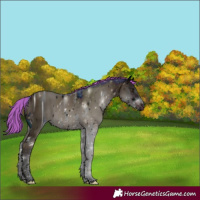 Horse Color:ERROR: UNKNOWN ANOMALY