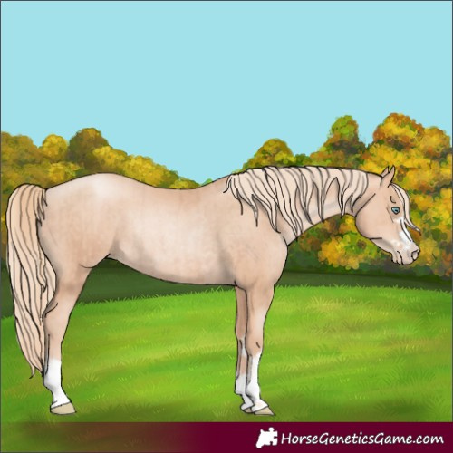 Horse Color:Gold Champagne Pearl Rabicano  and Gold Champagne Pearl Rabicano 