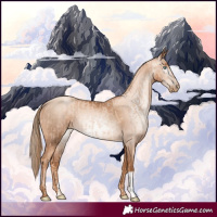 Horse Color:Gold Champagne Pearl Rabicano and Gray Gold Champagne Pearl Rabicano