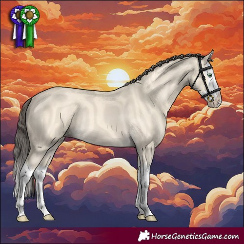 Horse Color:Amber Cream Champagne Splash 